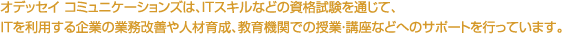 業務改善や人材育成などへのサポートについて