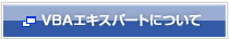 VBAエキスパートについて